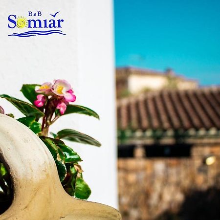 B&B Somiar San Teodoro  Esterno foto