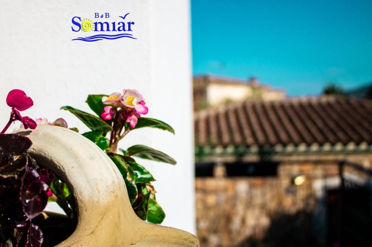 B&B Somiar San Teodoro  Esterno foto